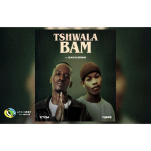 TitoM & Yuppe - Tshwala Bam Feat. S.N.E & EeQue